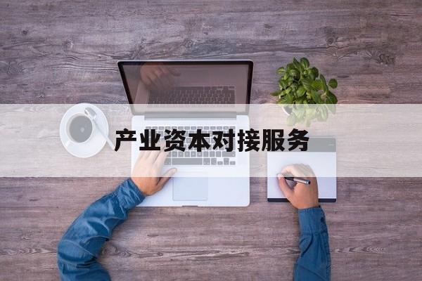 产业资本对接服务(产业资本对接服务包括哪些)宿迁市